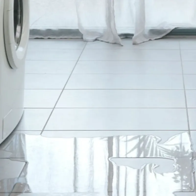 Appliance Leak Cleanup in Tok, AK