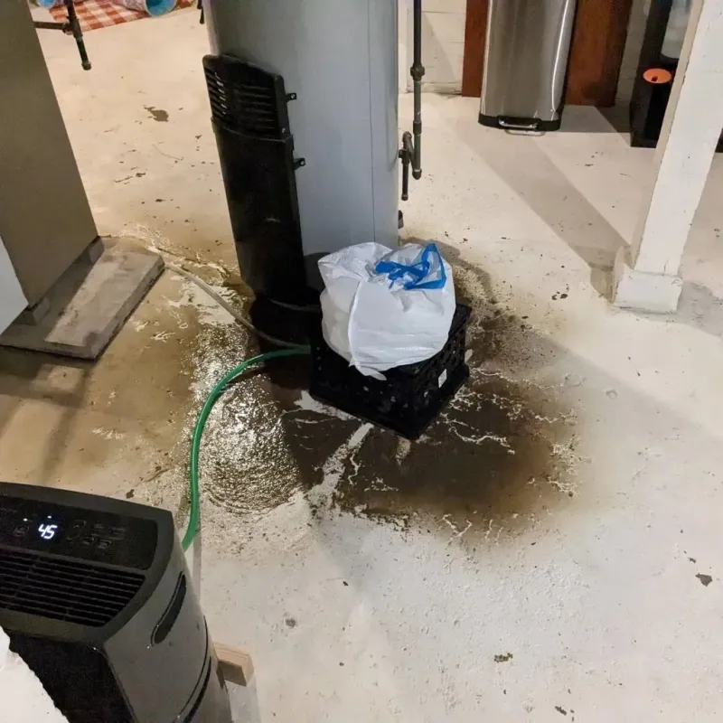 Sewage Backup Cleanup Service in Tok, AK